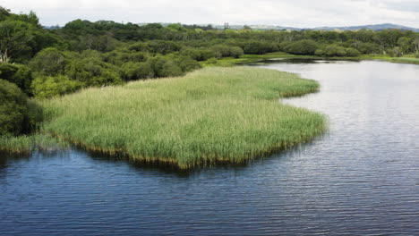 AERIAL---Wetlands-and-forest-in-Killarney-National-Park,-Ireland,-reverse-shot