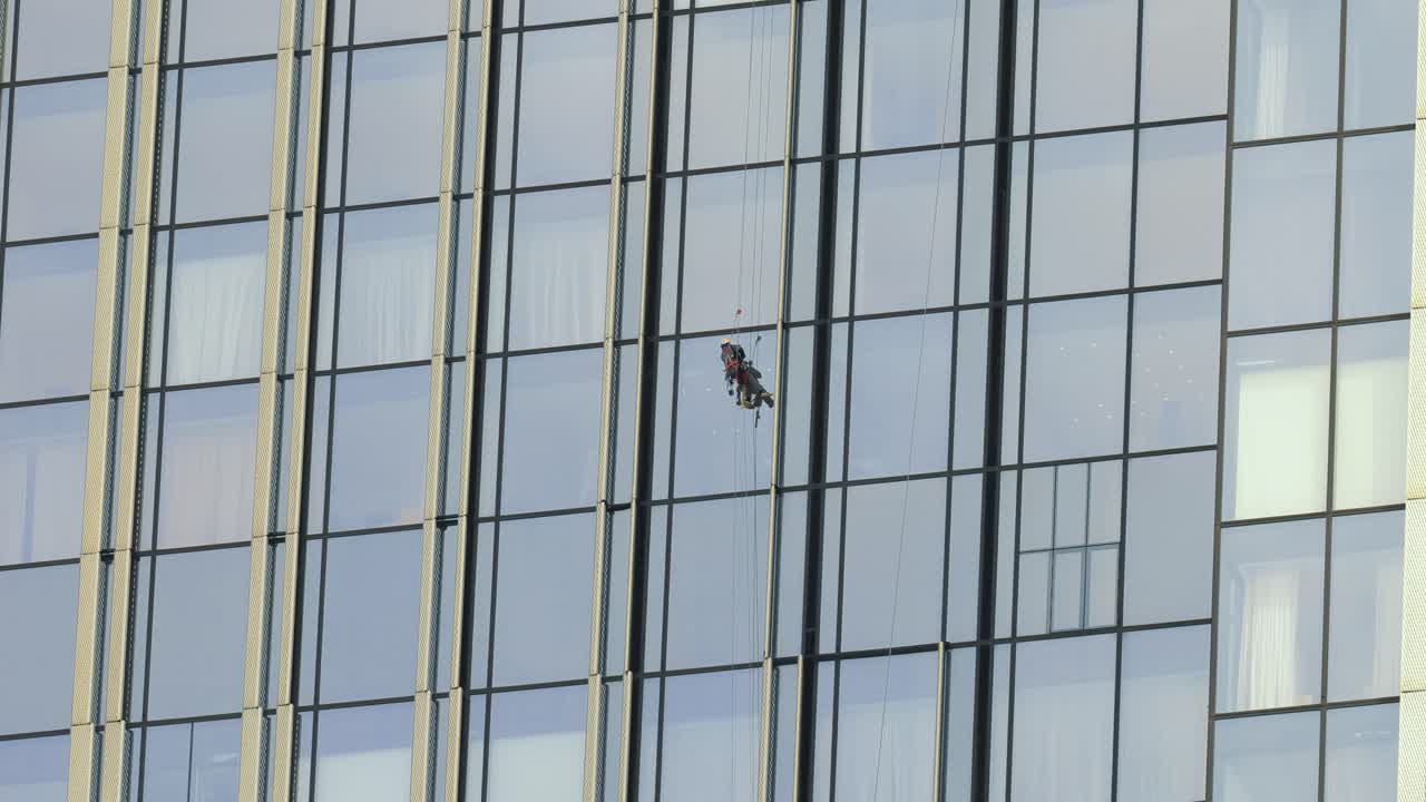 Professional Window cleaners at work