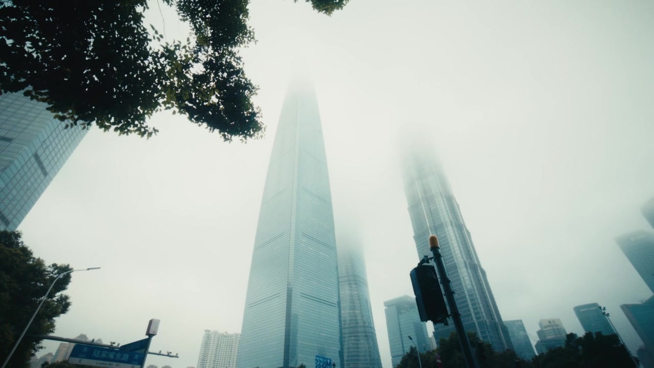 Inquadratura dal basso verso l'alto della Shanghai Tower, dello Shanghai World Financial Center e della Jin Mao Tower che si ergono in una fitta nebbia bianca invernale dal Lujiazui Central Green, Pudong, Shanghai.