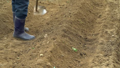 Mann-In-Gummistiefeln-Gräbt-Den-Boden-Im-Garten-Und-Macht-Rillen,-Bauer-Kultiviert-Braune-Erde-Mit-Gartenhacke-In-Südkorea-Nahaufnahme