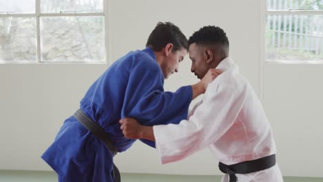 judokas training by doing a randori on the judo mat