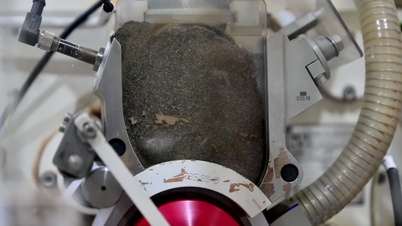 se ha producido té negro en la instalación de producción de té