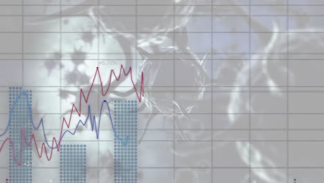 animation of graphs with spreading cell of coronavirus on white background