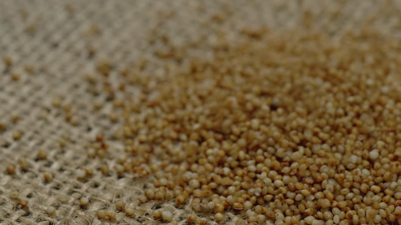 kodo millet grains or arikalu falling on jute cloth, stable shot, 4k