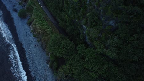 Imágenes-Aéreas-De-Drones-De-Un-Bosque-En-Maui