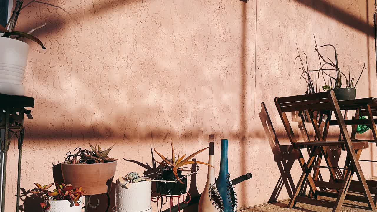 patio soleado con suculentas