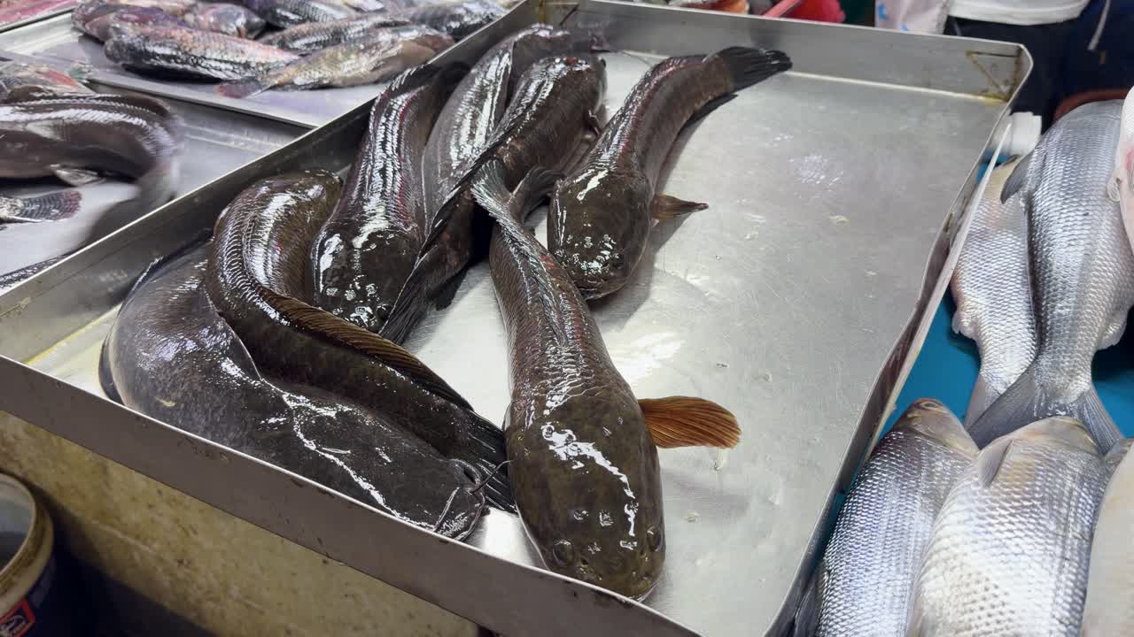 Live snakehead mudfish squirm on a metal tray at a Manila wet market stall