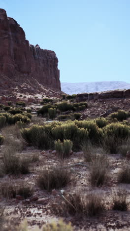 red rock canyon landscape