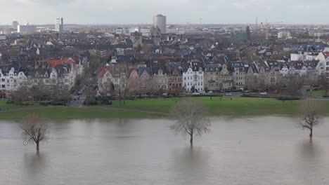 Árboles-Parcialmente-Sumergidos-Por-Las-Inundaciones-Del-Río-Rin,-Oberkassel-Alemania,-Vista-De-Drones