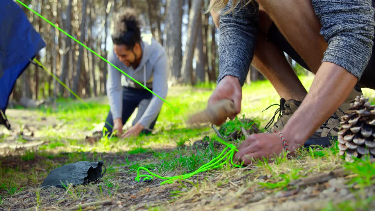 amigos montando una tienda en el bosque en un día soleado 4k