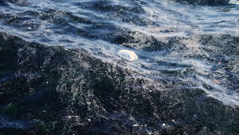 calm ocean surface polluted by plastic waste environmental disaster