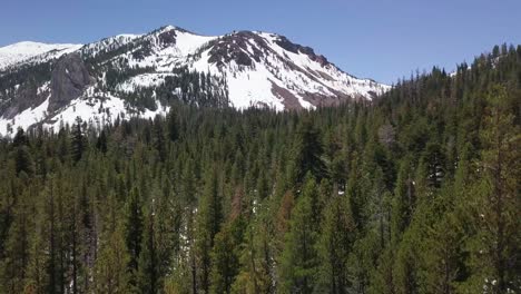 slow float down from top of treeline to ground with snow-capped mountains the background