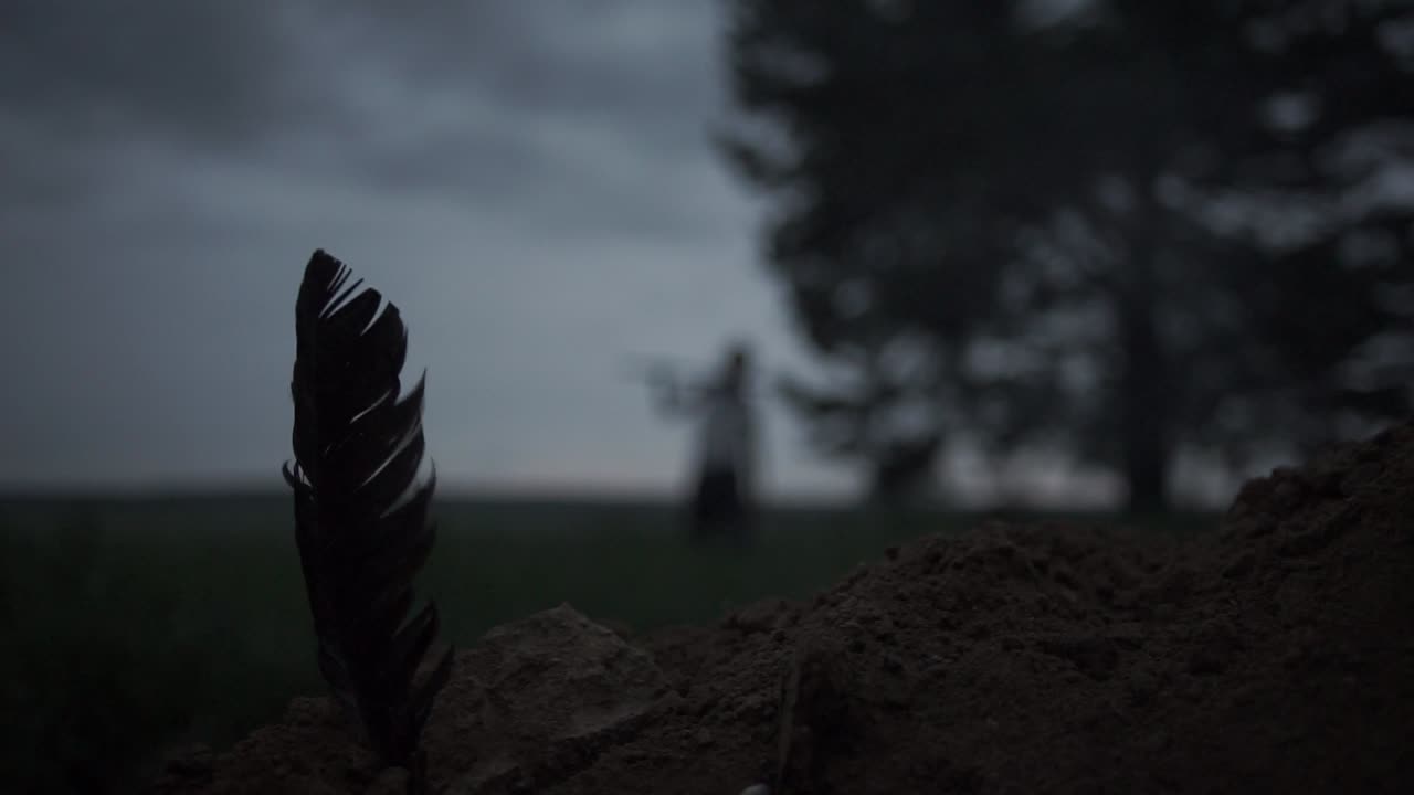 Mysterious Feather in a Field at Dusk