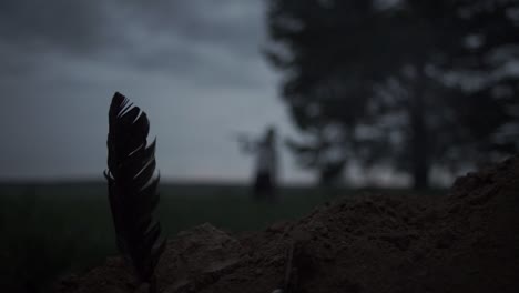 pluma misteriosa en un campo al anochecer