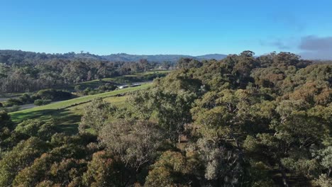 aerial rise up over trees to reveal the hume freeway in victoria at the flowerdale exit