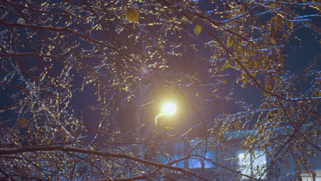 close-up of frost-covered tree branches with ice, softly illuminated by streetlight with building in background, creating serene winter scene with dark sky and glowing branches