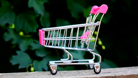 ciruelas frescas en el carrito comercial. animación en stop motion