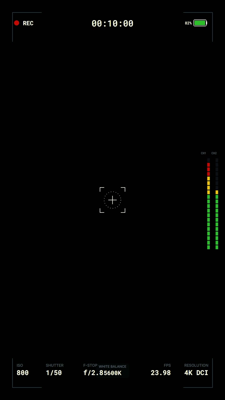 Digital Camera Recording Interface Overlay