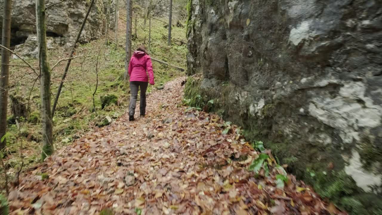 Lady walking next to a huge gorge wall with the fall leaves on the ground. Wearing a bright pink jacket and hiking gear clothes. Pokljuka Gorge in Slovenia Triglav National Park