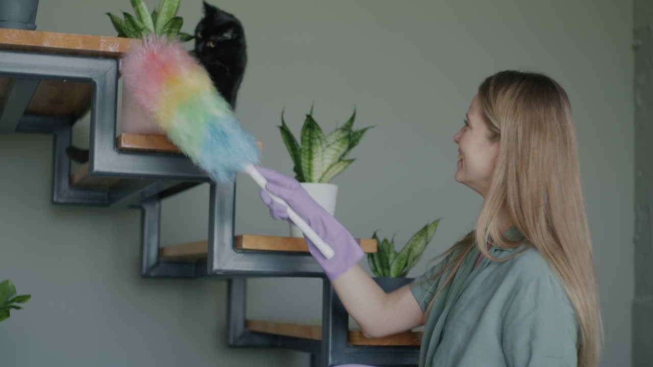 Woman Cleaning Shelves with Plants and Cat
