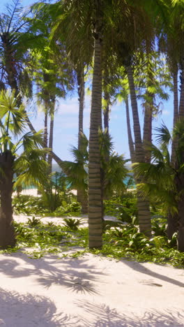 tropical beach with palm trees