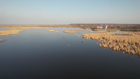 los kayakistas remar a través de las aguas tranquilas de un vasto delta del río rodeado de cañas al atardecer