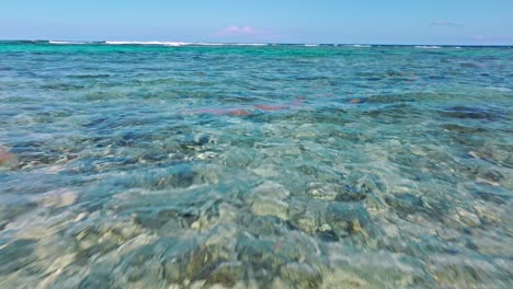 Low-flight-over-clear-Caribbean-sea-with-rocks-and-coral-underwater-reflecting-in-sunlight