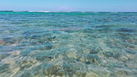 vuelo bajo sobre el claro mar del caribe con rocas y corales bajo el agua que se reflejan en la luz del sol
