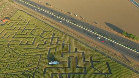 Libro-Guinness-De-Los-Récords-Mundiales-Laberinto-De-Maíz-Más-Grande-En-Dixon-California-Vista-De-Drone-Diagonal-De-Todo-El-Laberinto