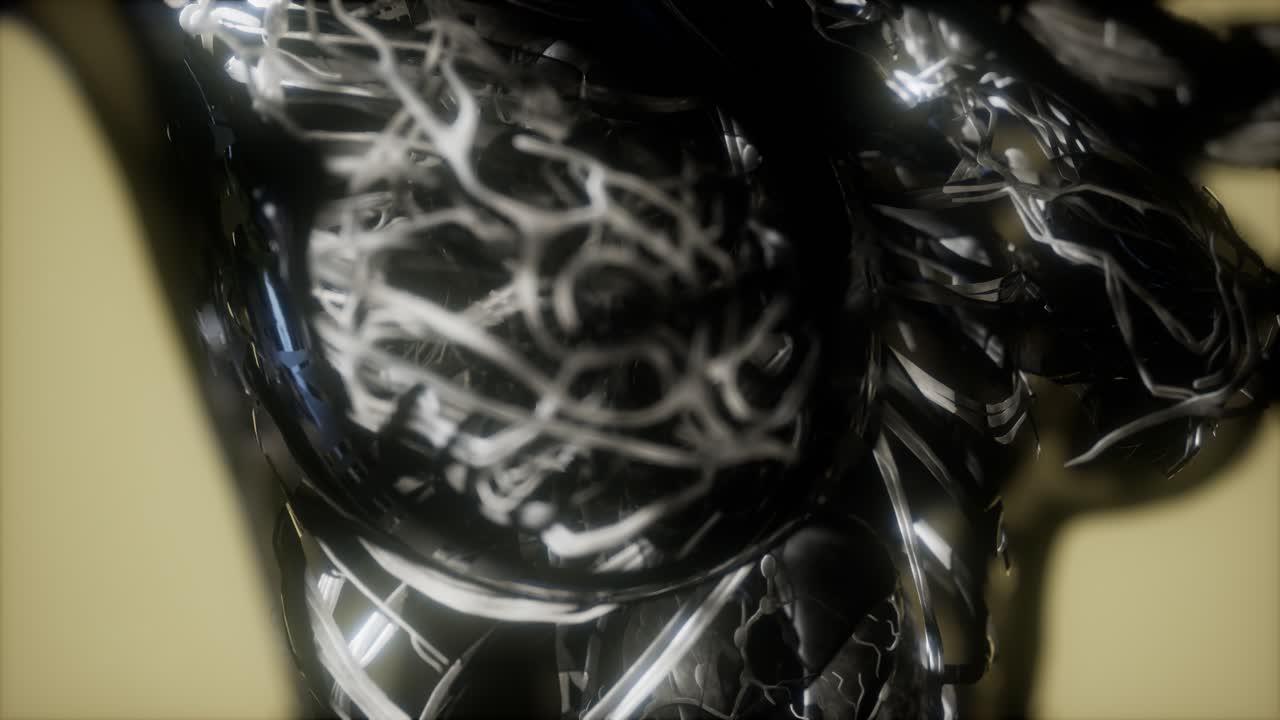 inspección de la sangre en los vasos sanguíneos del sistema circulatorio