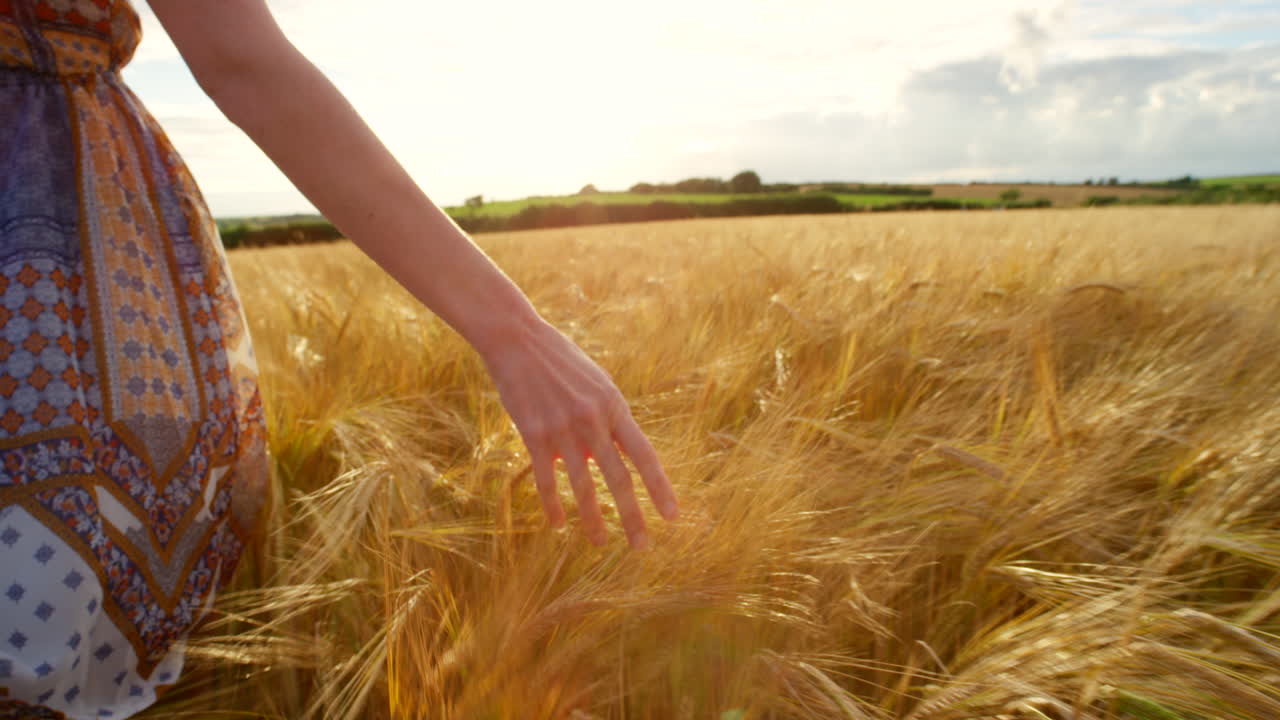 지구와 접촉하고 있습니다.
