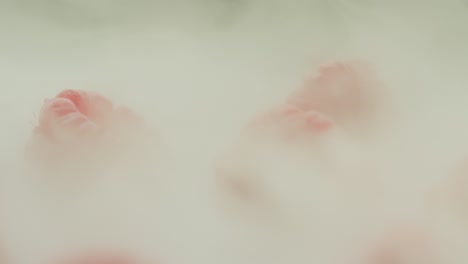 Some-Raspberries-Engulfed-in-Smoke