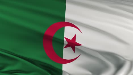 algeria flag waving on wind seamles loop 3d animation. 4k resolution.