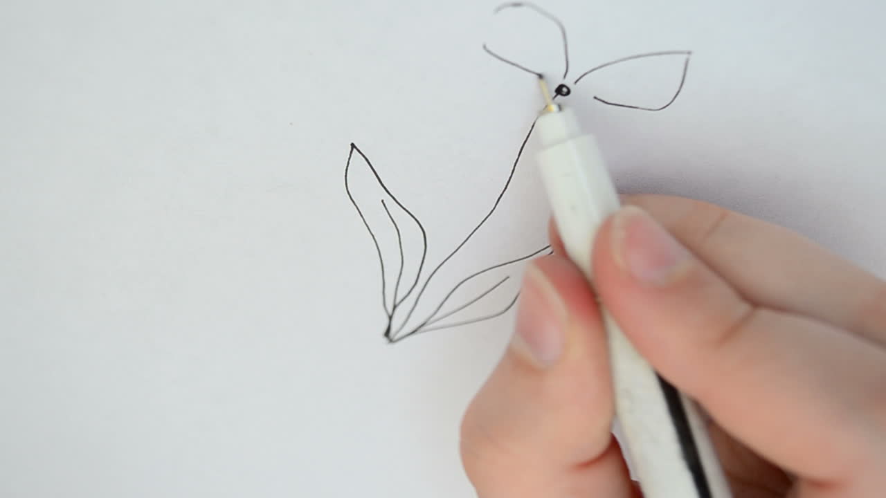 Flower drawing. Nature as drawing