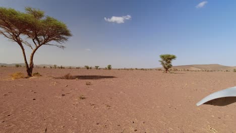 Nach-Einer-Motorradfahrt-In-Der-Sahara-Wüste,-Blick-Zurück-Entlang-Des-Weges-Auf-Eine-Akazie