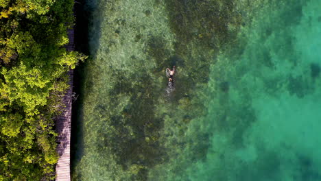 4k drone footage of a man snorkelling