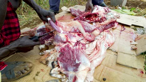 masai community people slaughtering goat, indigenous people slaughtering goat