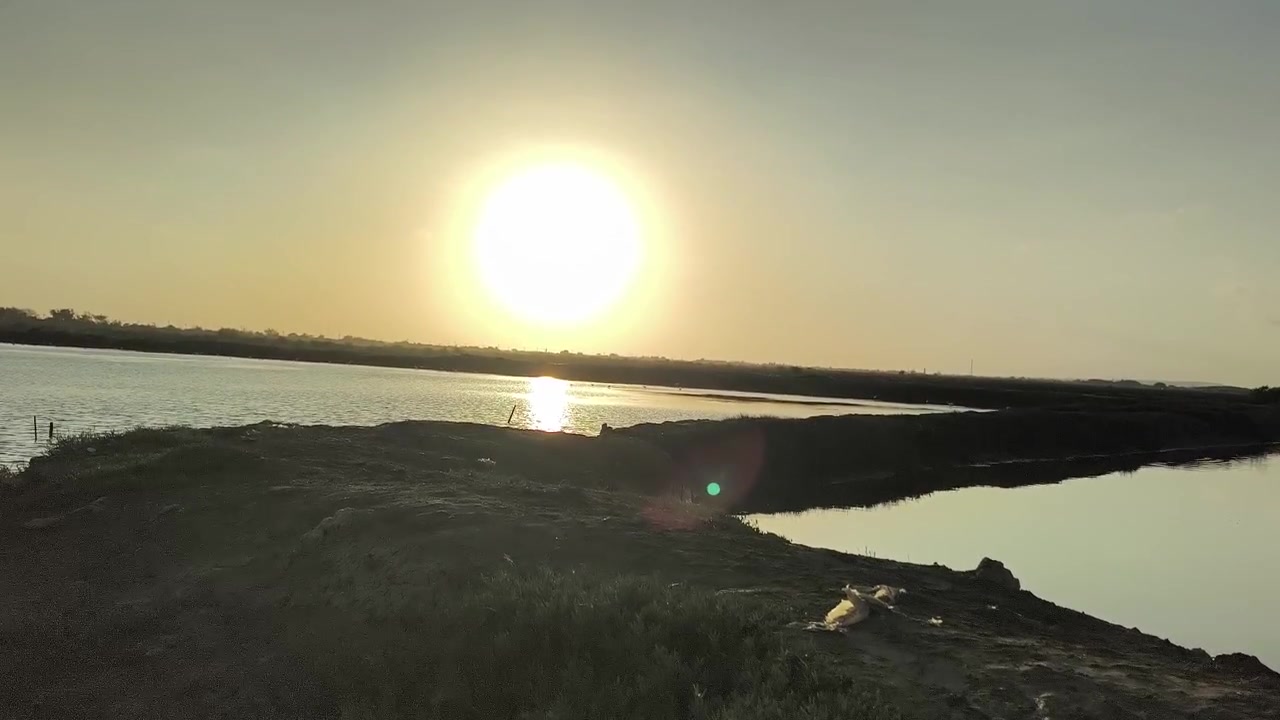 Gylden solnedgang over roligt saltmarsklandskab