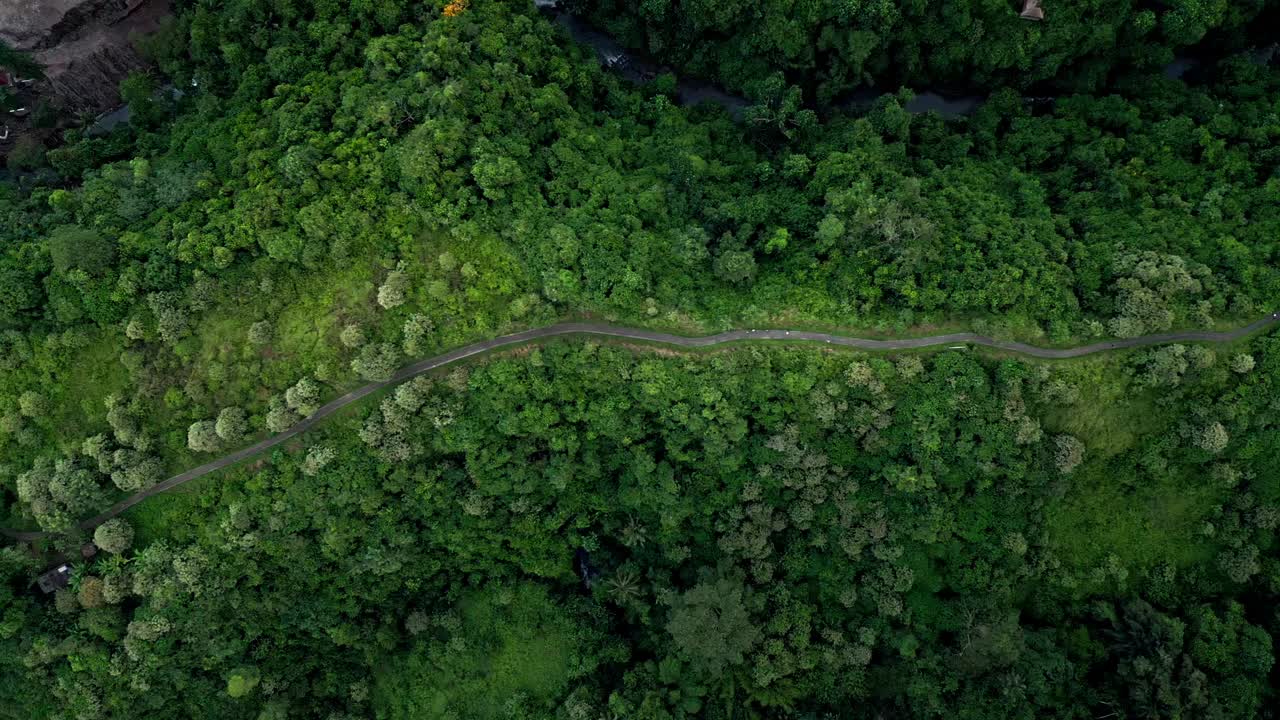 descubra la serenidad en la cresta de champuhan caminando en ubud