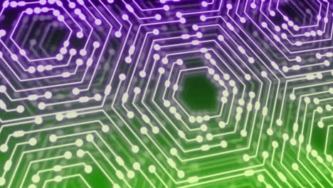 animación de un circuito integrado de neón sobre un fondo púrpura y verde