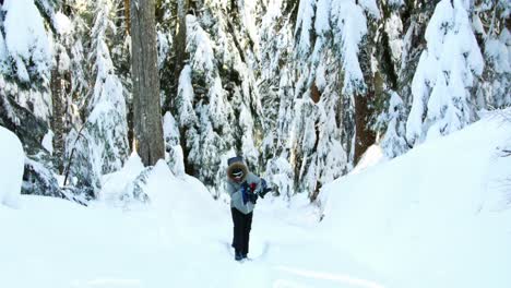 Mujer-Caminando-Con-Snowboard-4k