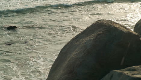 Nostalgische-Erinnerungen,-Mit-Wasserwellen-Von-Beach-Big-Rock-Malibu-Zur-Ruhigen-Goldenen-Stunde