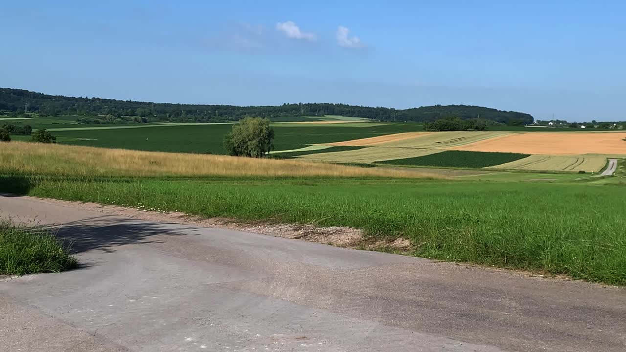 곡물, 초원 및 숲을 가진 풍경