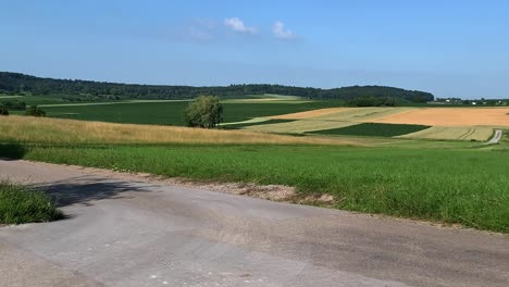 landscape with grain fields, meadows and forests