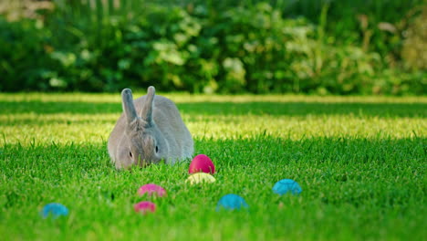 conejo de pascua en la hierba con huevos