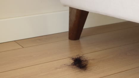 a clump of hair on a wooden floor