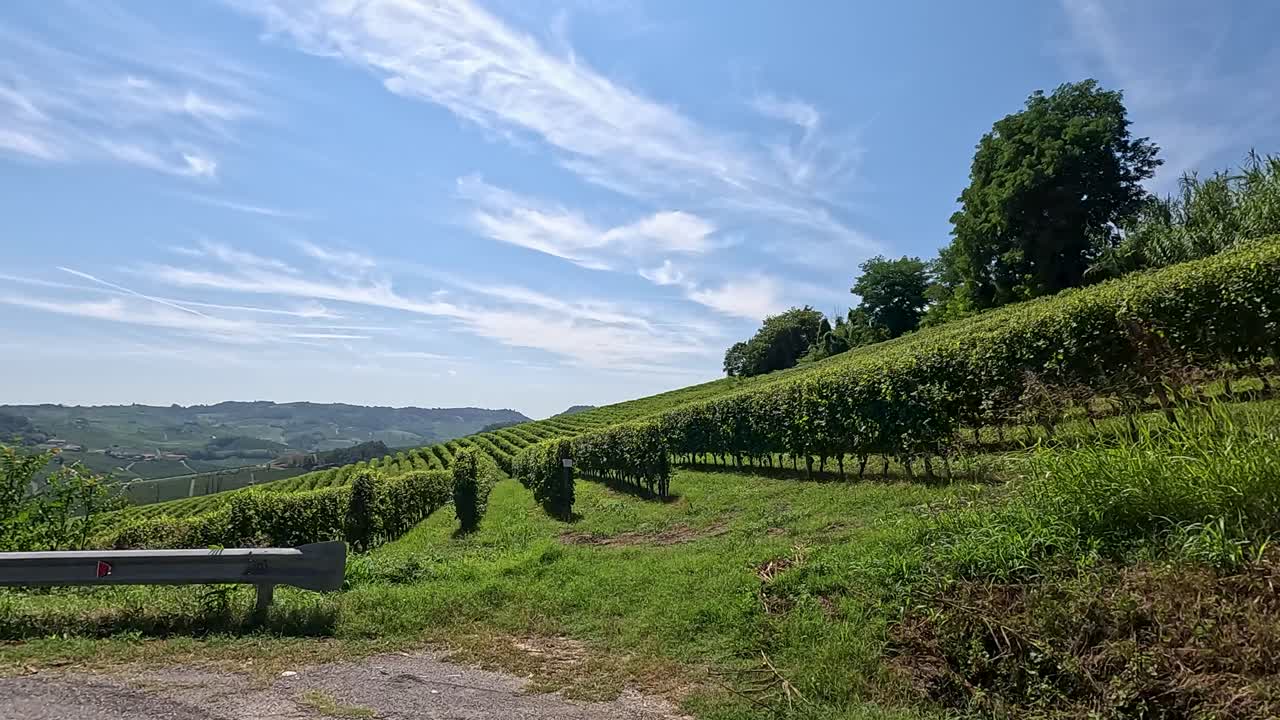 Giro panoramico attraverso vigneti e dolci colline