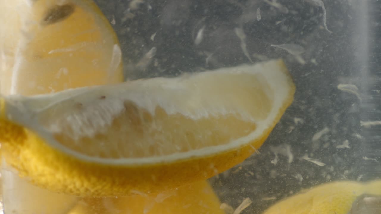 The lemon slices under water with pieces of ice.