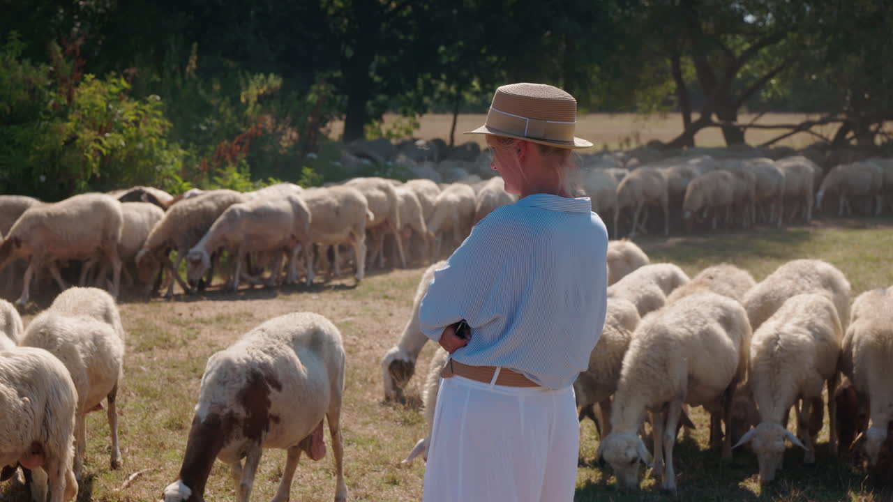 Woman watching a flock of sheep