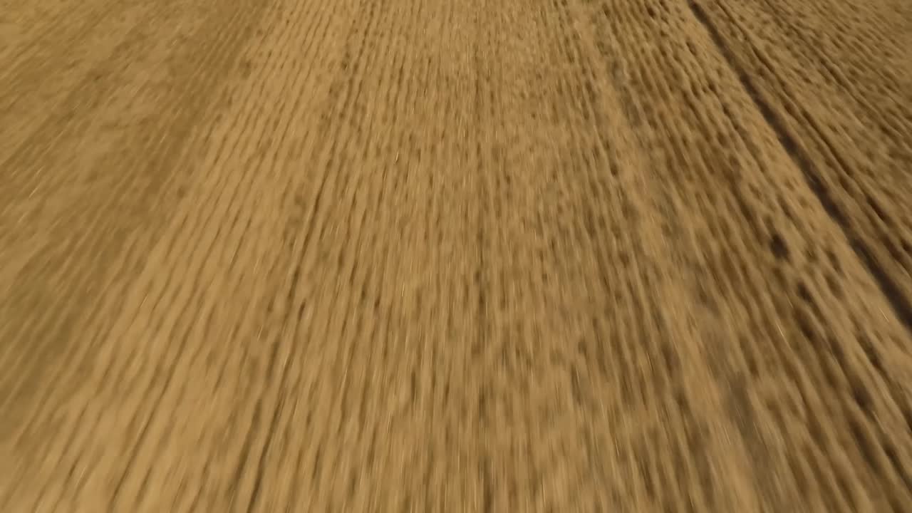 cosecha muy baja vuelo rápido sobre cultivos elevación para revelar el tractor y la cosechadora claas